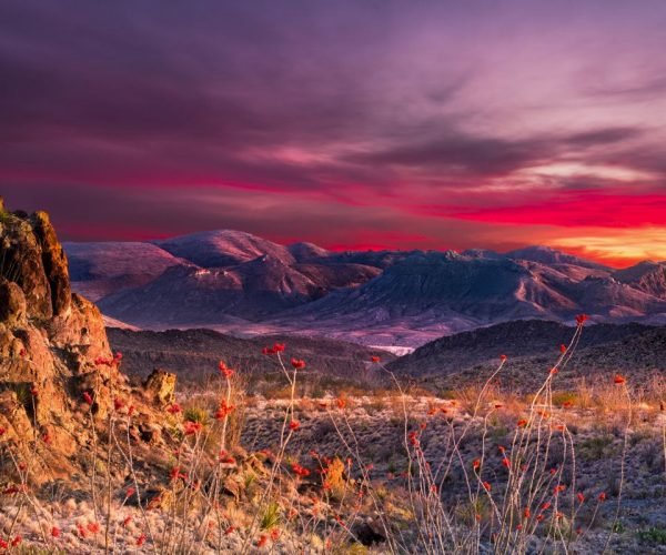 Top 7 Things To Do In Big Bend National Park