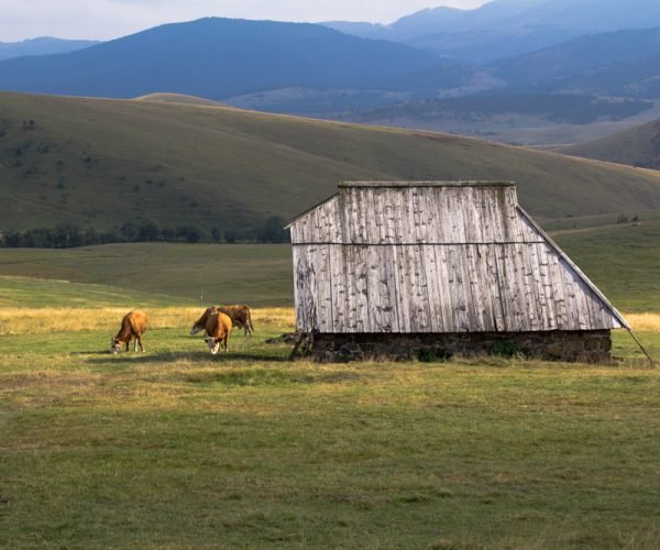 UNWTO meeting focuses on tourism in rural areas