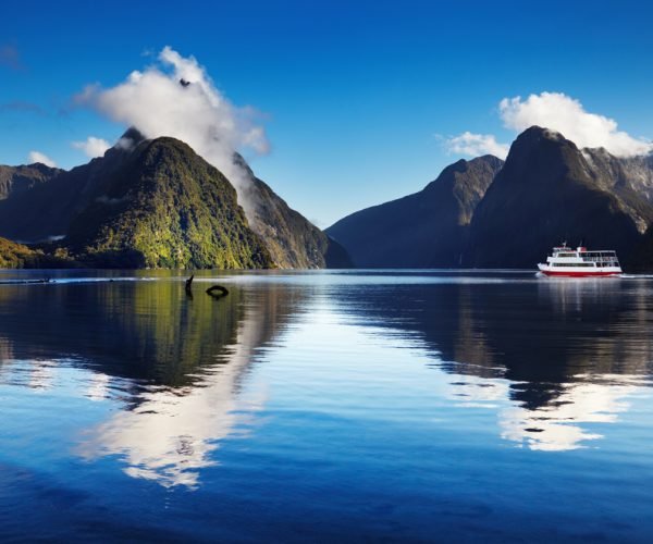 Signalling travel restoration, New Zealand welcomes first cruise ship since Covid-19