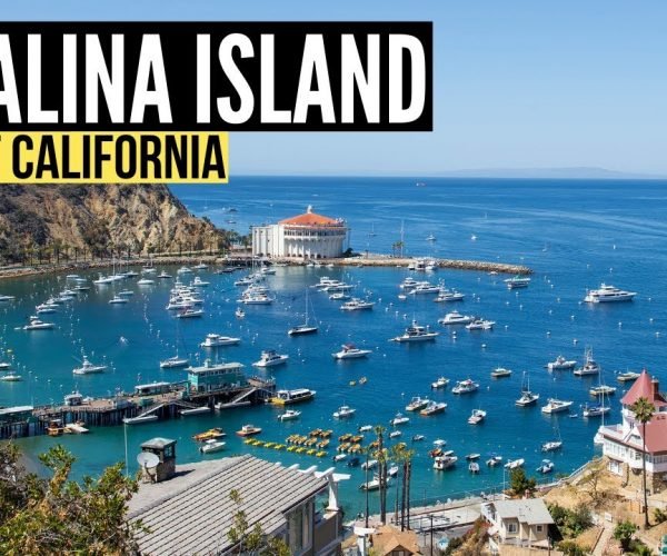 Things To Do in CATALINA ISLAND California (Travel Guide & Vlog)