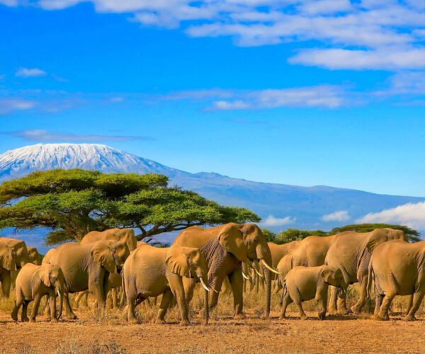 The Most Expensive Destinations In The World Will Shock You