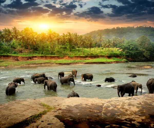 6 Reasons Sri Lanka Should Be On Your Travel Radar This Year