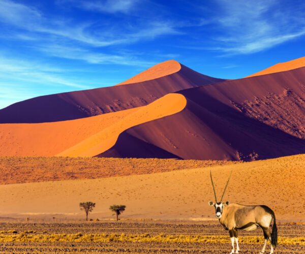 Digital Nomads Can Live In This Bucket List Destination For 6 Months