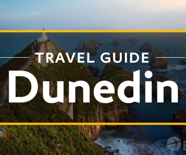 Dunedin Vacation Travel Guide | Expedia