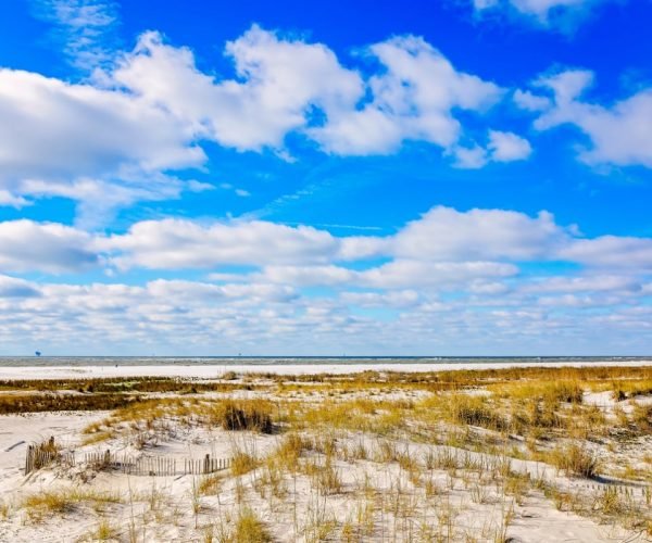Unveiling Alabama’s White Sand Paradise – It’s Not Gulf Shores!