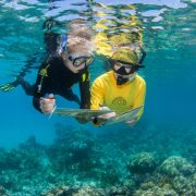 Four Australian cruise firms join Ecotourism Hall of Fame