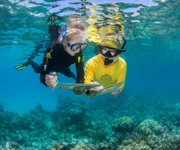 Four Australian cruise firms join Ecotourism Hall of Fame
