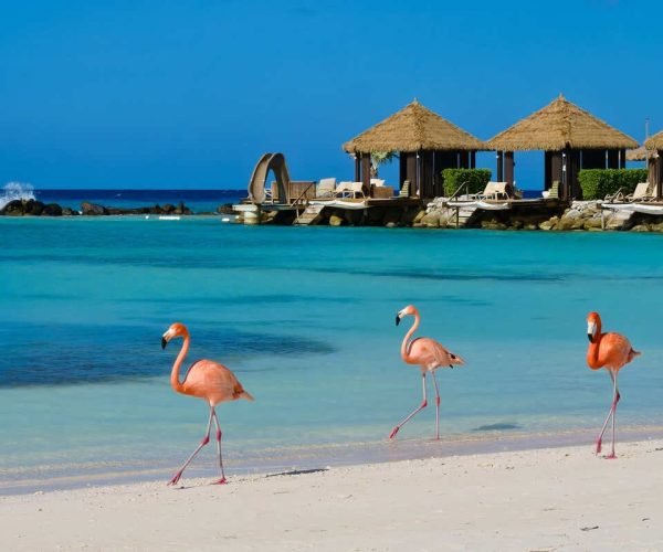 4 Of The Safest Caribbean Islands To Visit This Summer